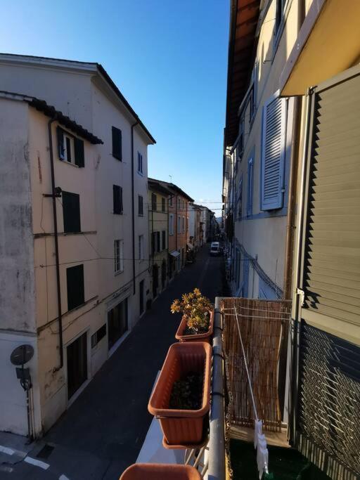 Il Nido Dell'Artista Lejlighed Pietrasanta Eksteriør billede